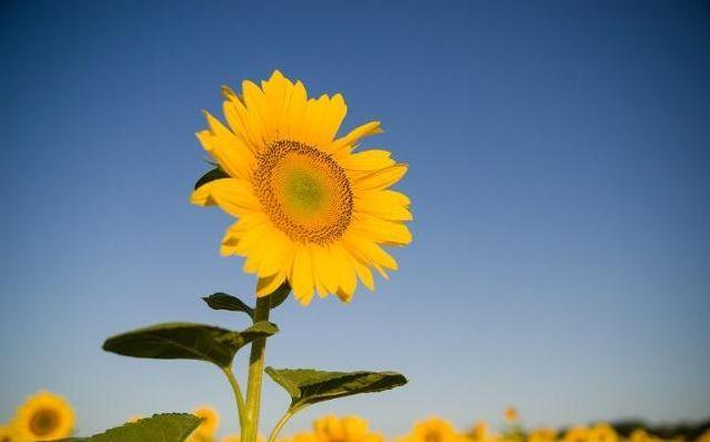 拿什么拯救你的頸椎？