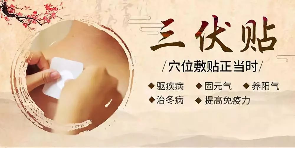 關(guān)于三伏貼，你了解多少呢？