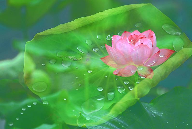 醫(yī)療器械網(wǎng)：失眠該怎么辦？