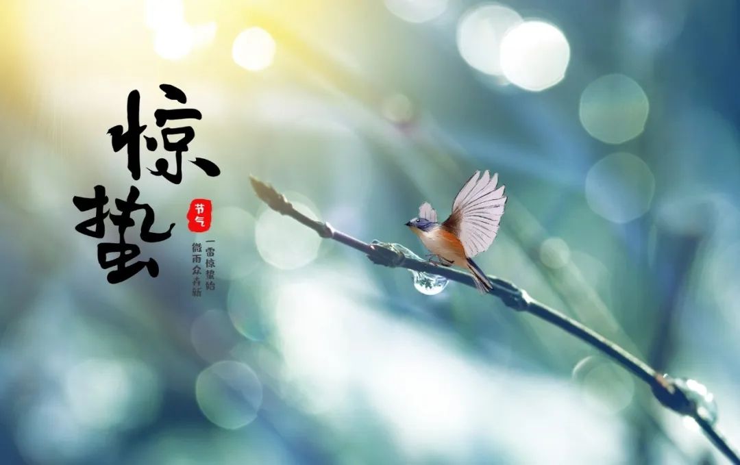 今日驚蟄！