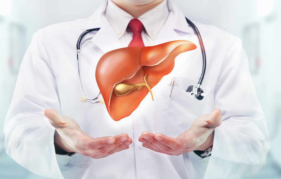 這些養(yǎng)肝知識，你應當了解