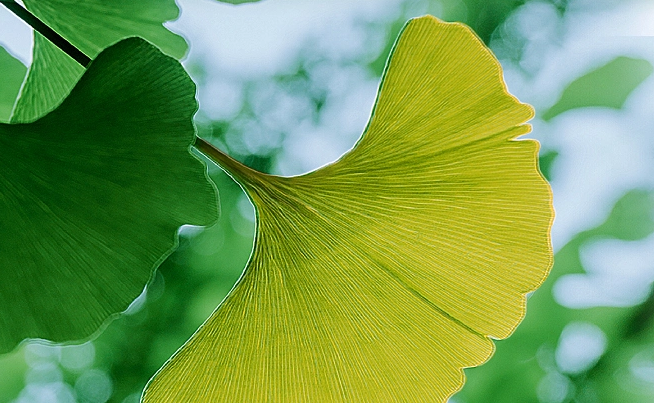 立秋后怎么養(yǎng)生？